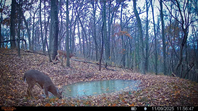 $806,000 | W27022 Whistle Pass Road, Dodge, WI 54661