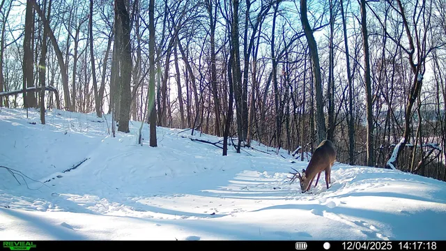 $806,000 | W27022 Whistle Pass Road, Dodge, WI 54661