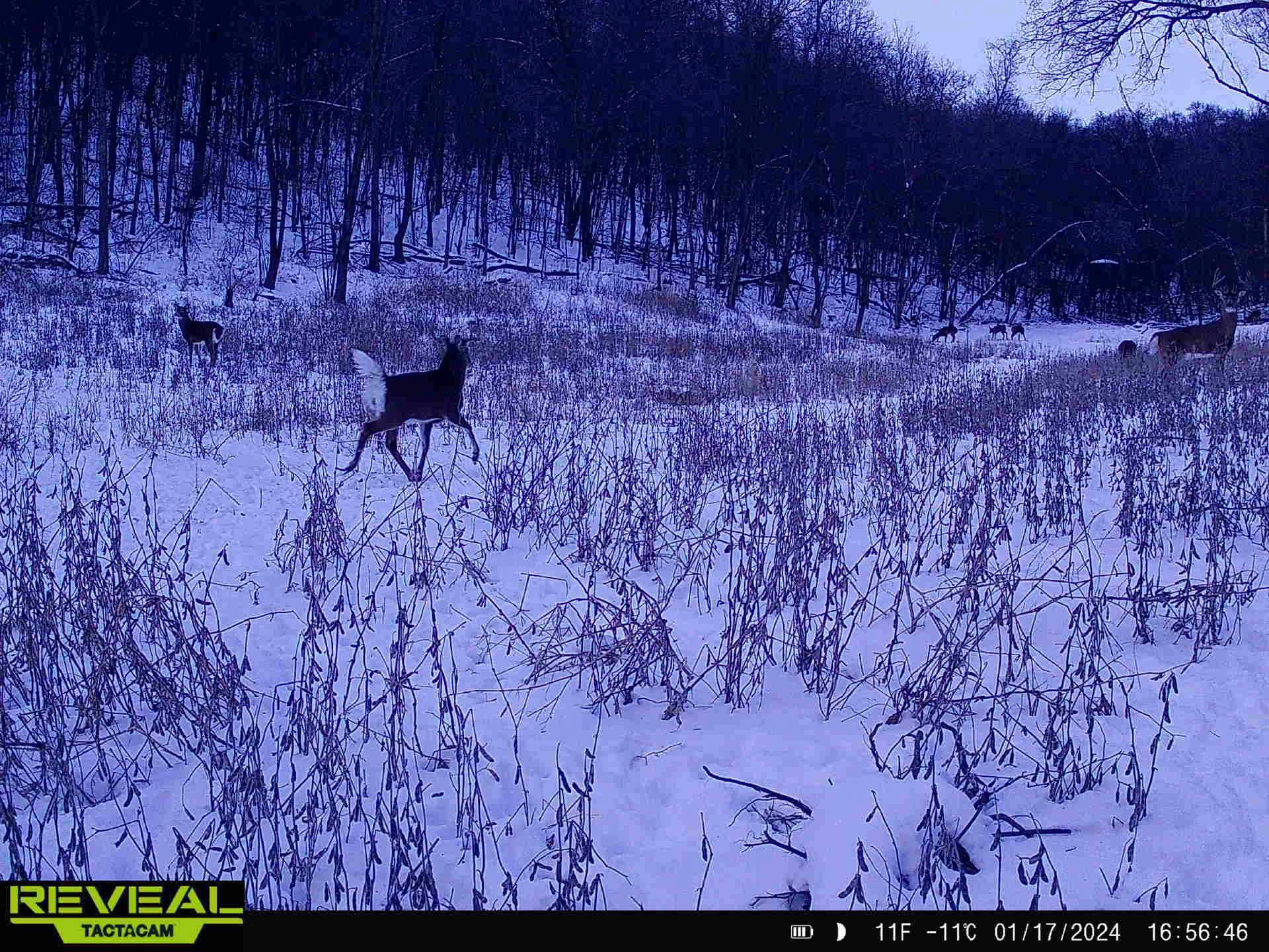 W27022 Whistle Pass Road Dodge, WI 54661 - Photo 69 of 117