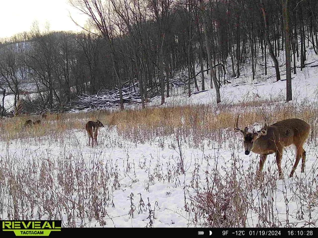 $806,000 | W27022 Whistle Pass Road, Dodge, WI 54661