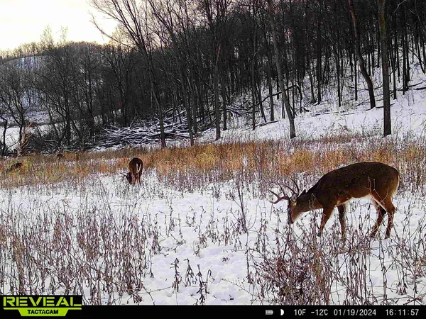 $806,000 | W27022 Whistle Pass Road, Dodge, WI 54661