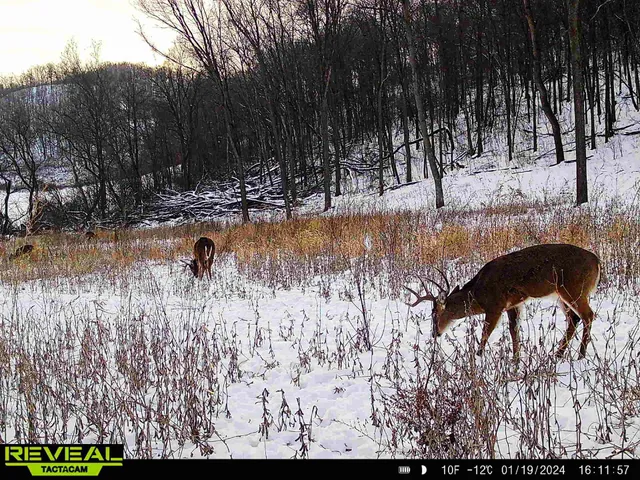 $806,000 | W27022 Whistle Pass Road, Dodge, WI 54661