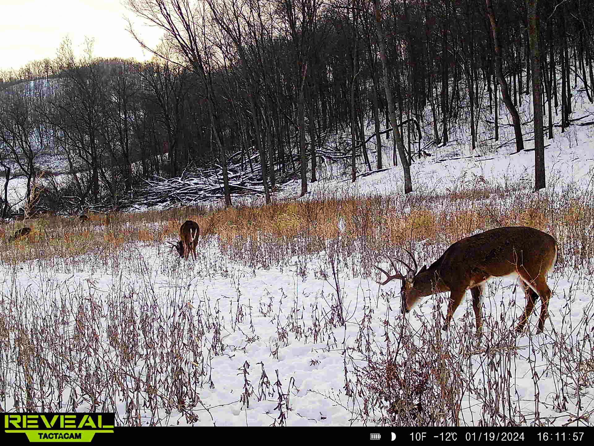 W27022 Whistle Pass Road Dodge, WI 54661 - Photo 71 of 117