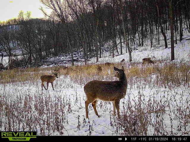 $806,000 | W27022 Whistle Pass Road, Dodge, WI 54661