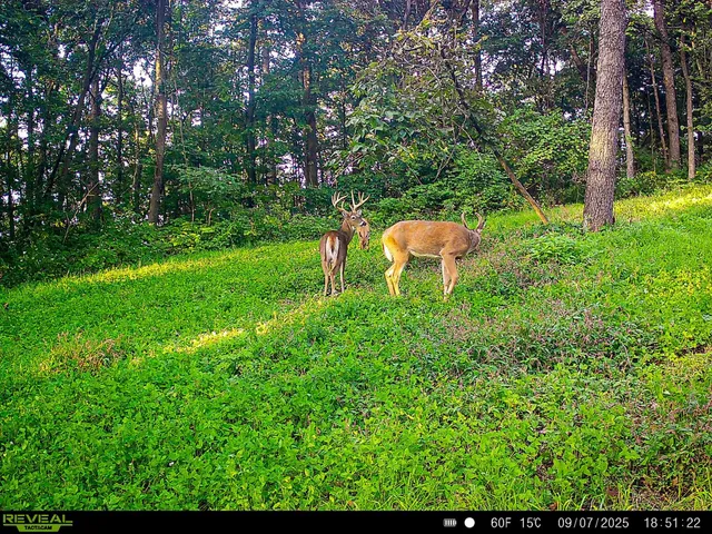 $806,000 | W27022 Whistle Pass Road, Dodge, WI 54661