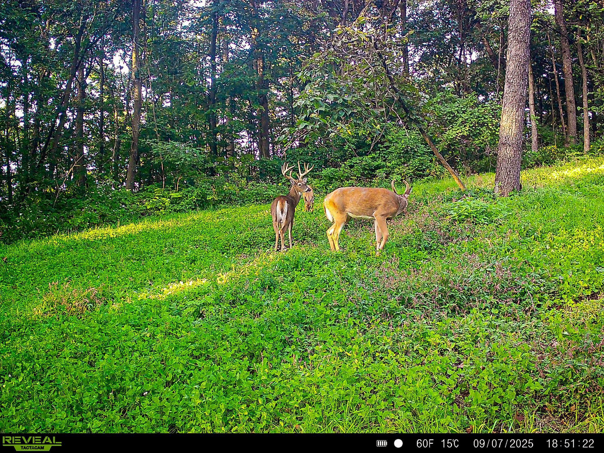 W27022 Whistle Pass Road Dodge, WI 54661 - Photo 73 of 117