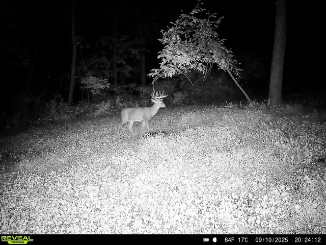 $806,000 | W27022 Whistle Pass Road, Dodge, WI 54661