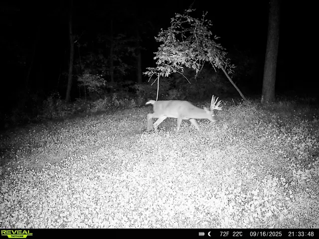 $806,000 | W27022 Whistle Pass Road, Dodge, WI 54661