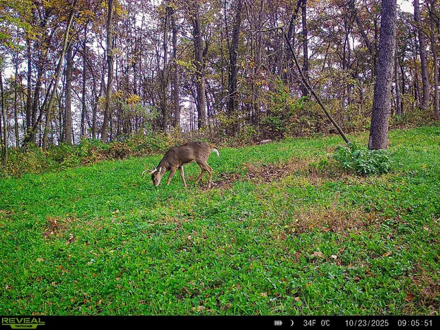 $806,000 | W27022 Whistle Pass Road, Dodge, WI 54661