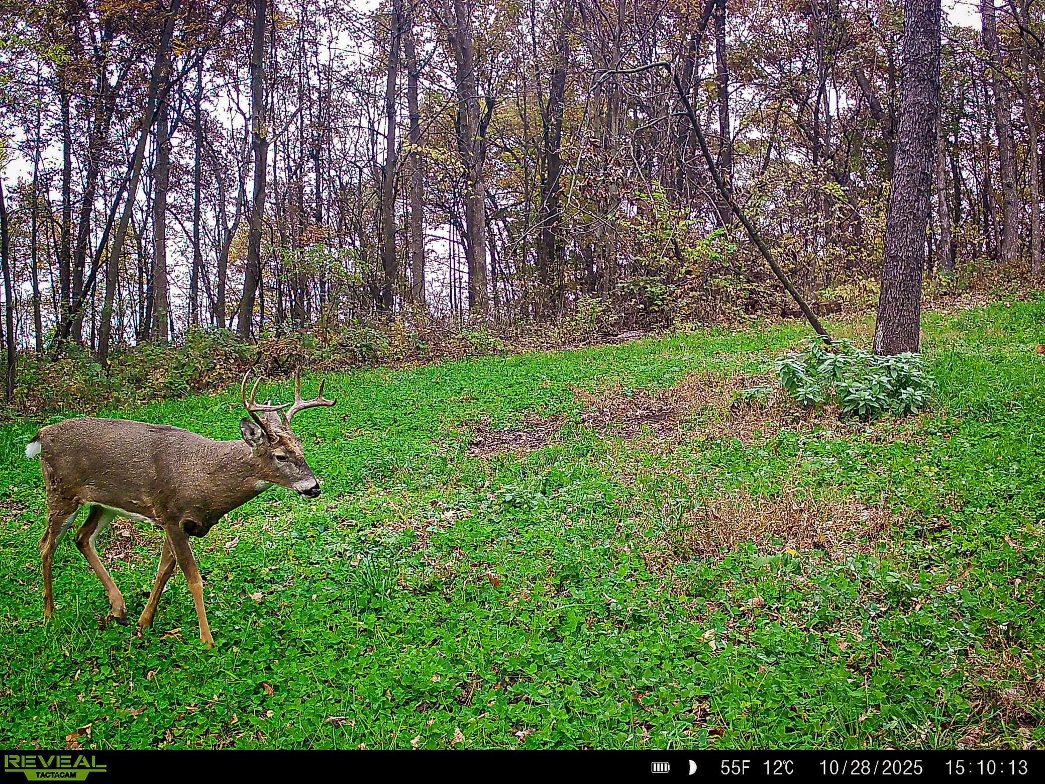 W27022 Whistle Pass Road Dodge, WI 54661 - Photo 79 of 117