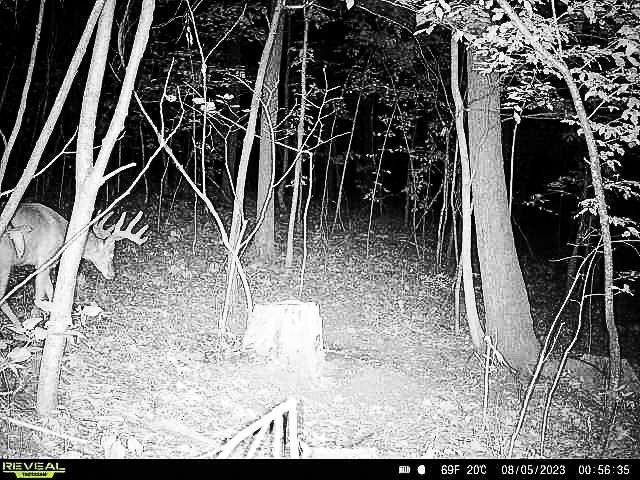 W27022 Whistle Pass Road Dodge, WI 54661 - Photo 81 of 117