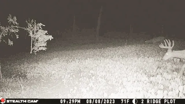 $806,000 | W27022 Whistle Pass Road, Dodge, WI 54661