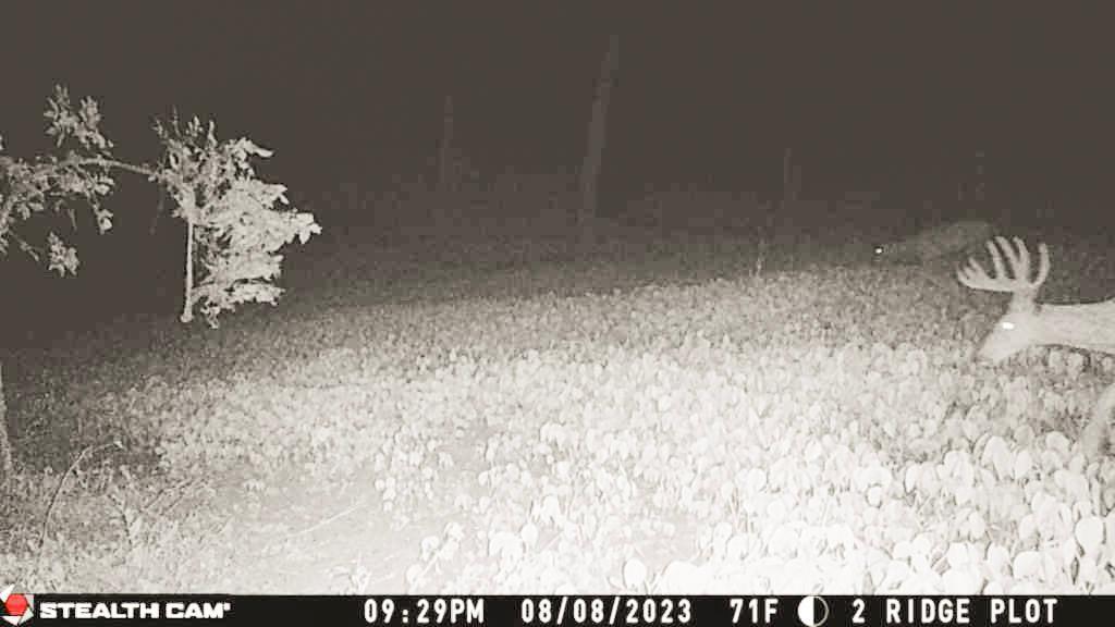 W27022 Whistle Pass Road Dodge, WI 54661 - Photo 82 of 117