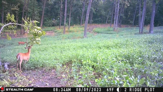 $806,000 | W27022 Whistle Pass Road, Dodge, WI 54661