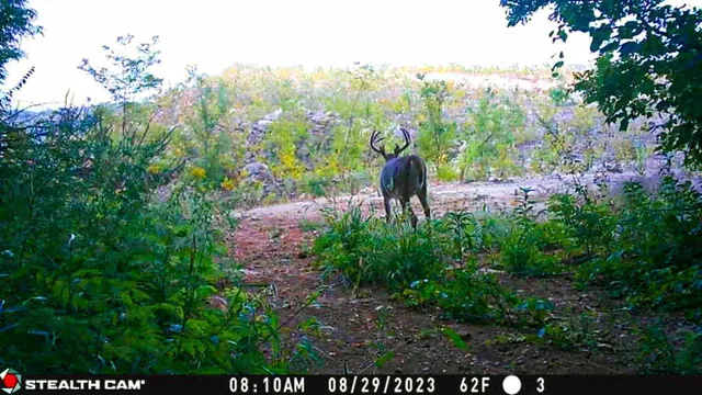 $806,000 | W27022 Whistle Pass Road, Dodge, WI 54661