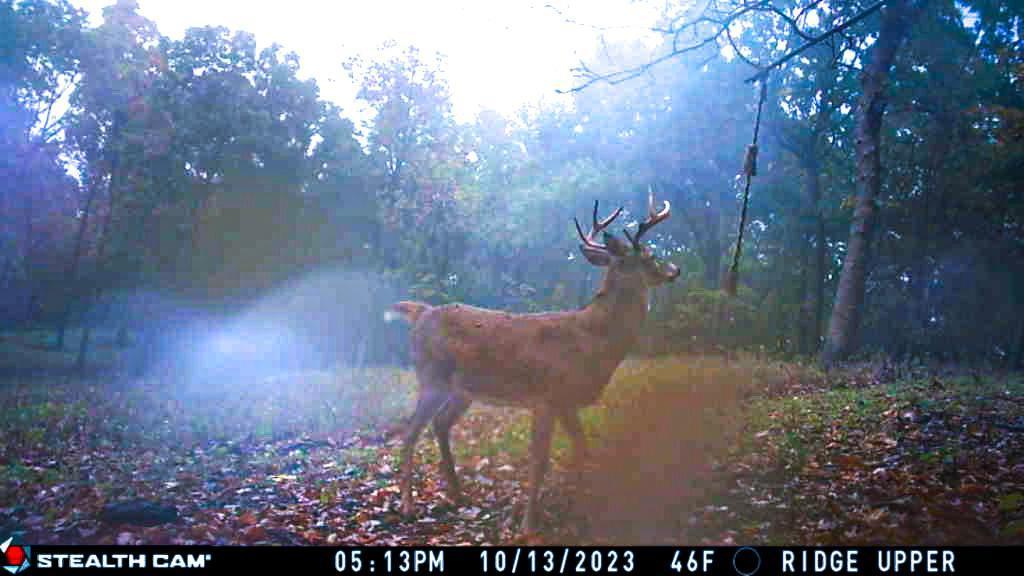 W27022 Whistle Pass Road Dodge, WI 54661 - Photo 86 of 117