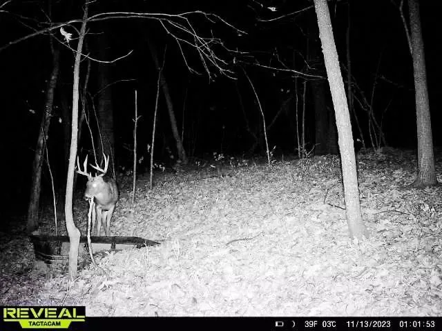 $806,000 | W27022 Whistle Pass Road, Dodge, WI 54661