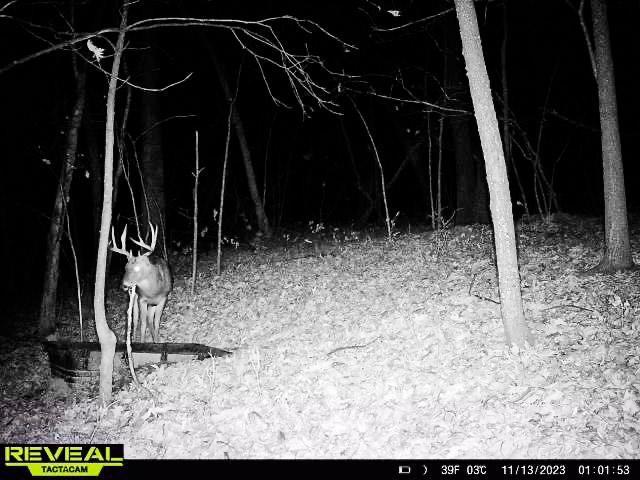 W27022 Whistle Pass Road Dodge, WI 54661 - Photo 87 of 117