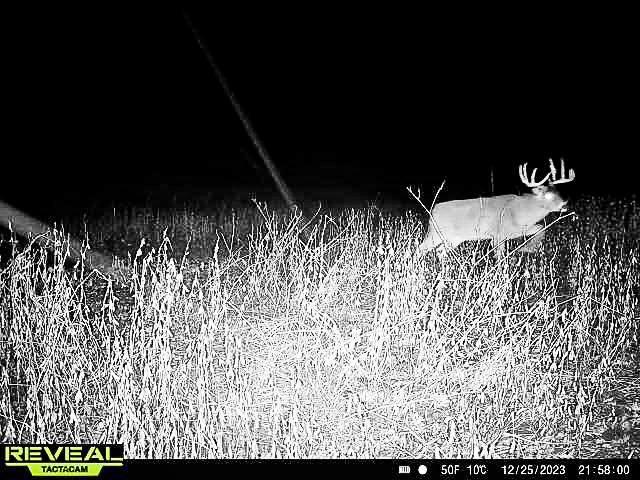 W27022 Whistle Pass Road Dodge, WI 54661 - Photo 88 of 117