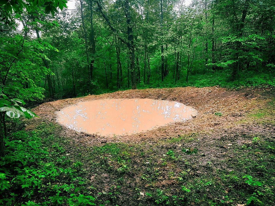 W27022 Whistle Pass Road Dodge, WI 54661 - Photo 90 of 117