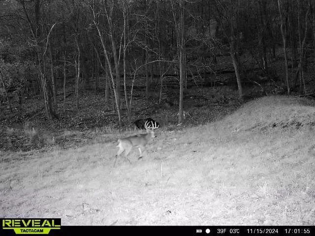 $806,000 | W27022 Whistle Pass Road, Dodge, WI 54661