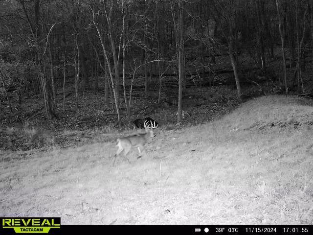 W27022 Whistle Pass Road Dodge, WI 54661 - Photo 9 of 117