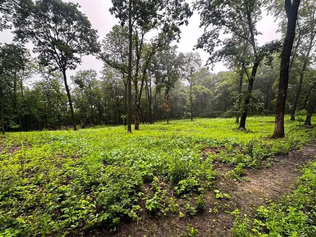 $806,000 | W27022 Whistle Pass Road, Dodge, WI 54661