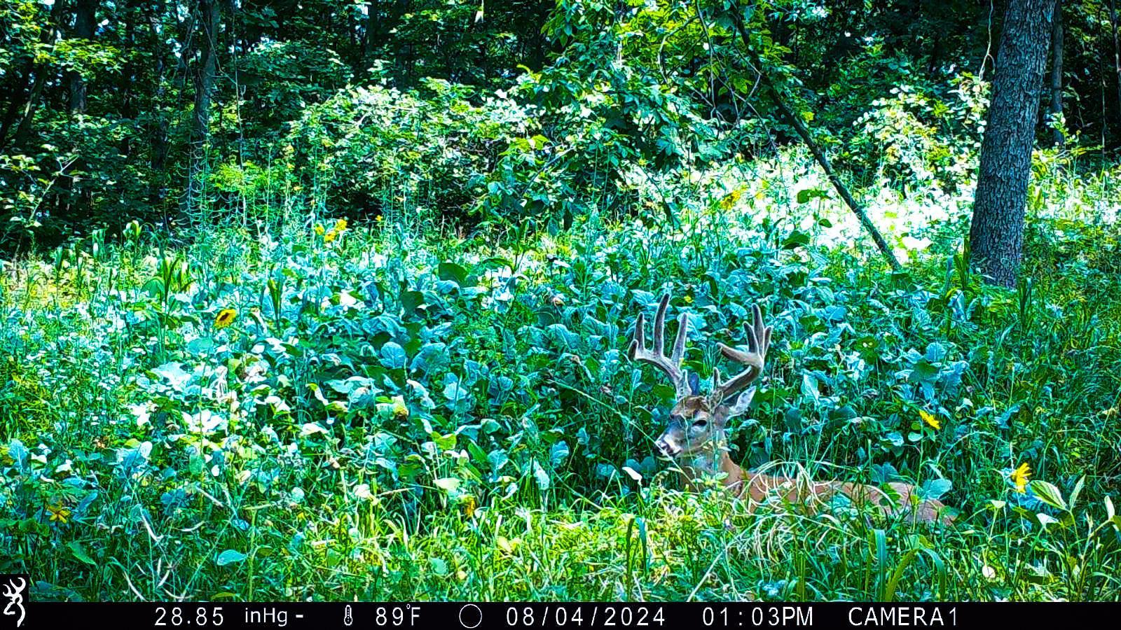 W27022 Whistle Pass Road Dodge, WI 54661 - Photo 94 of 117