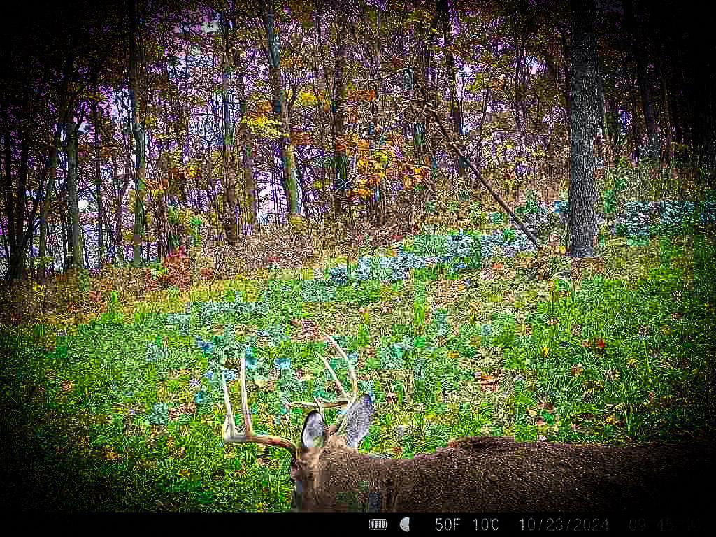 W27022 Whistle Pass Road Dodge, WI 54661 - Photo 95 of 117