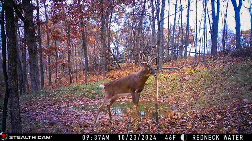 W27022 Whistle Pass Road Dodge, WI 54661 - Photo 96 of 117