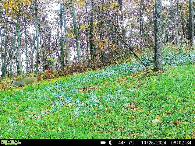 $806,000 | W27022 Whistle Pass Road, Dodge, WI 54661