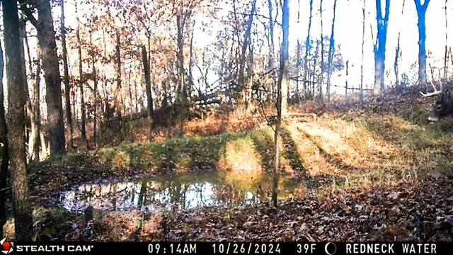 $806,000 | W27022 Whistle Pass Road, Dodge, WI 54661