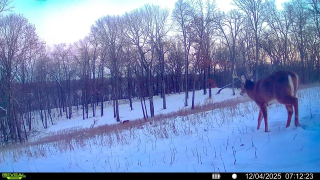 $806,000 | W27022 Whistle Pass Road, Dodge, WI 54661