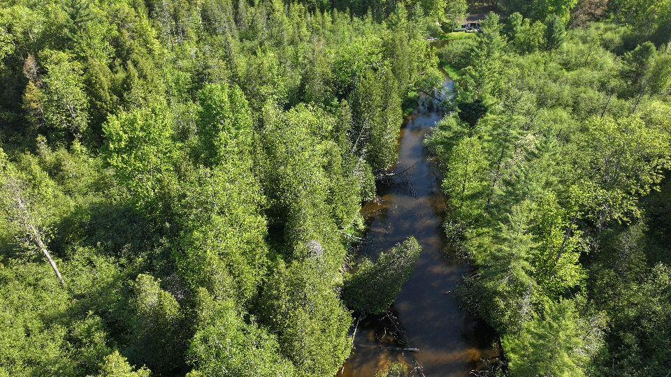 V/l West Pomeroy Springs Road Irons, MI 49644 - Photo 11 of 27 DJI_20260526095719_0385_D