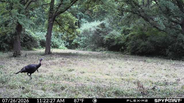 9368 Rhea Park Road Loami, IL 62661 - Photo 58 of 58 Gallery Image 58