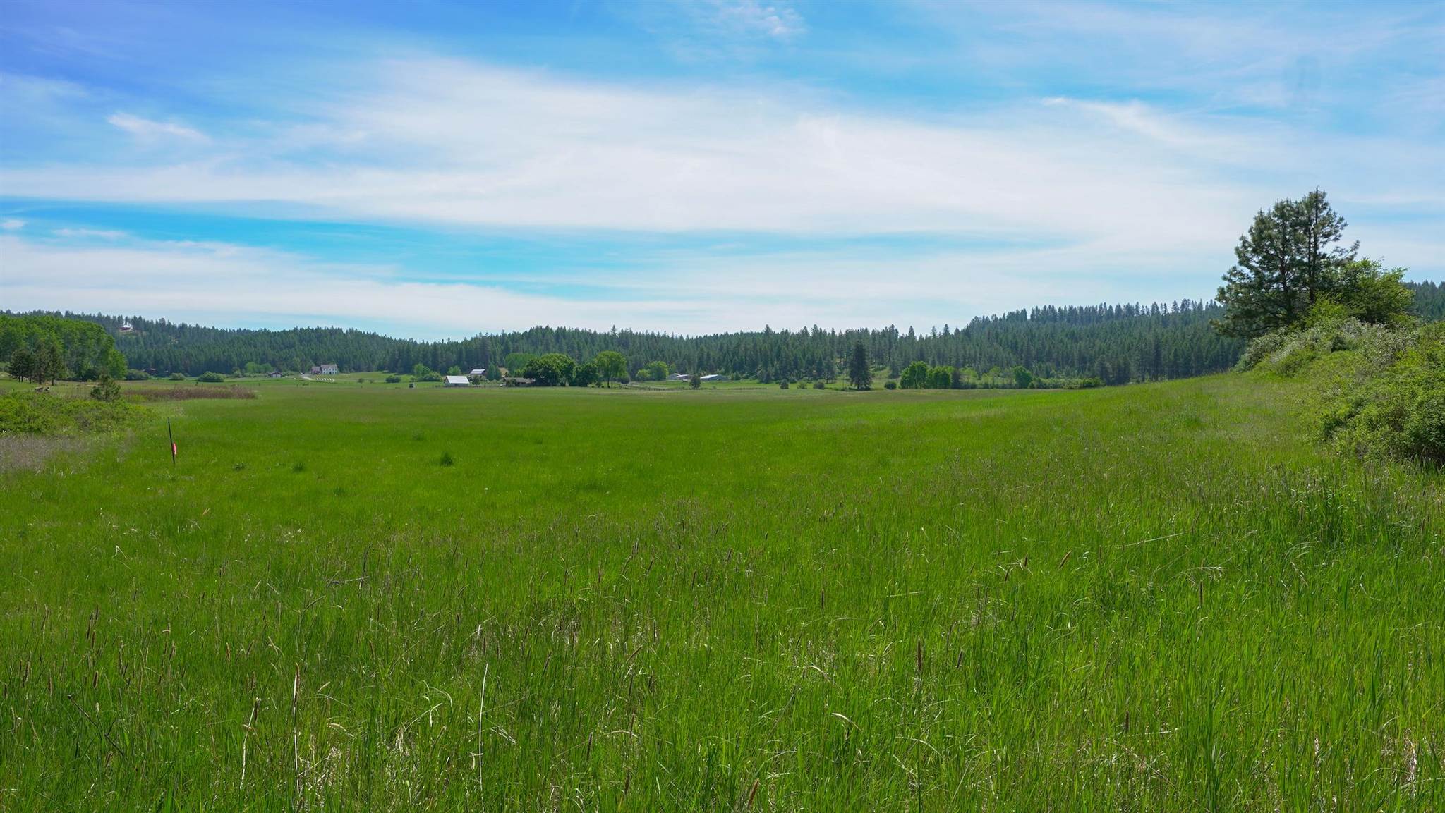 Xxxx East Woolard Road Colbert, WA 99005 - Photo 22 of 22