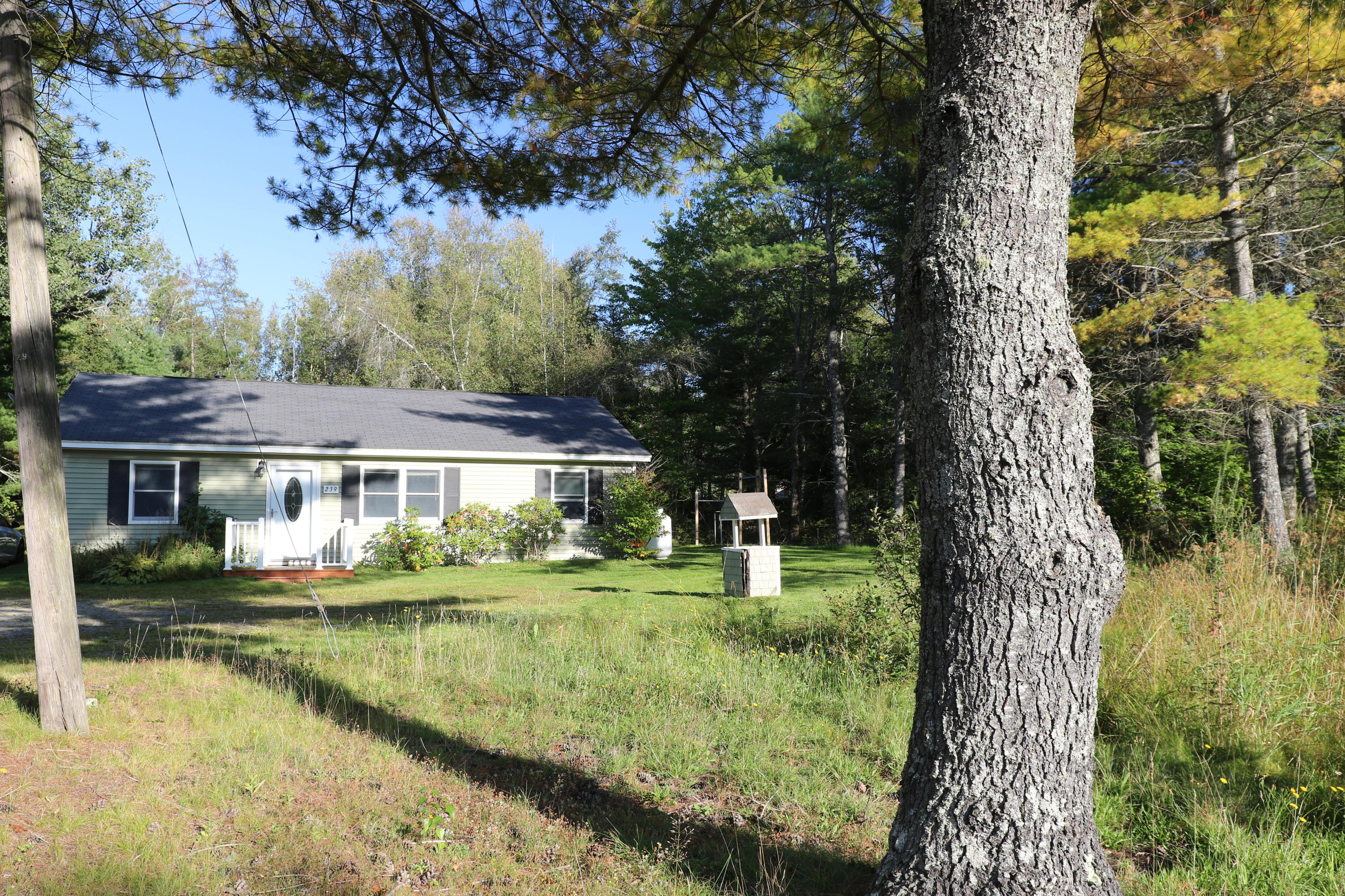239 Mariaville Road Ellsworth, ME 04605 - Photo 2 of 15 133A8277