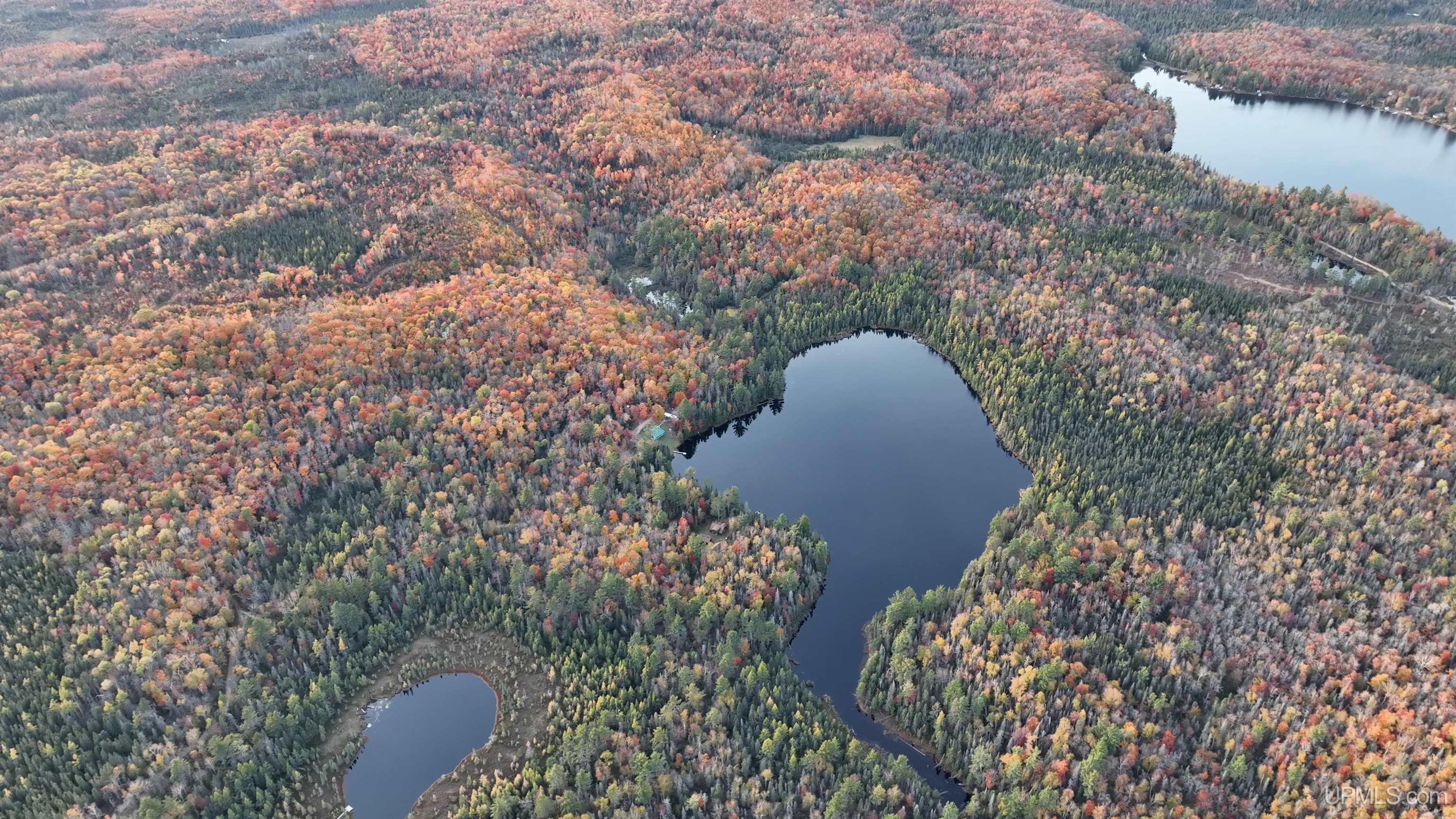 Tbd Tbd Peshekee Grade Road Michigamme, MI 49861 - Photo 19 of 61