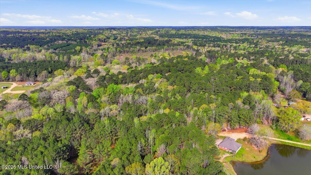 0 Harrisville Braxton Road Braxton, MS 39044 - Photo 17 of 33 14-Harrisville Braxton Rd _ Home Tours M