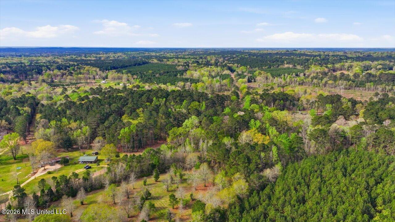 0 Harrisville Braxton Road Braxton, MS 39044 - Photo 20 of 33 17-Harrisville Braxton Rd _ Home Tours M