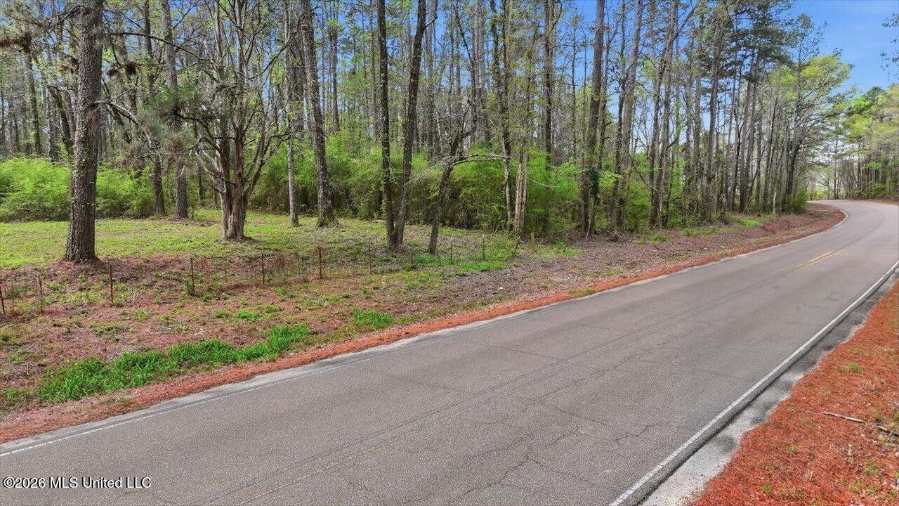 0 Harrisville Braxton Road Braxton, MS 39044 - Photo 2 of 33 29-Harrisville Braxton Rd _ Home Tours M