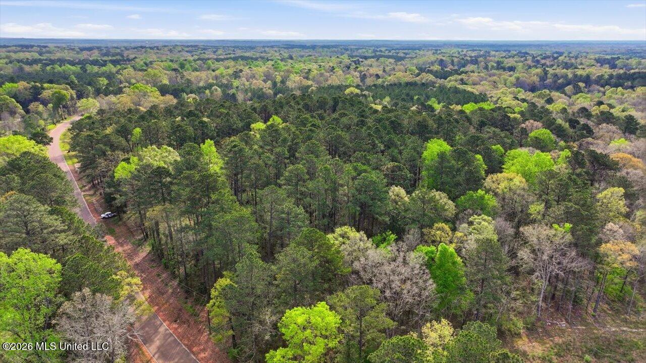 0 Harrisville Braxton Road Braxton, MS 39044 - Photo 24 of 33 21-Harrisville Braxton Rd _ Home Tours M