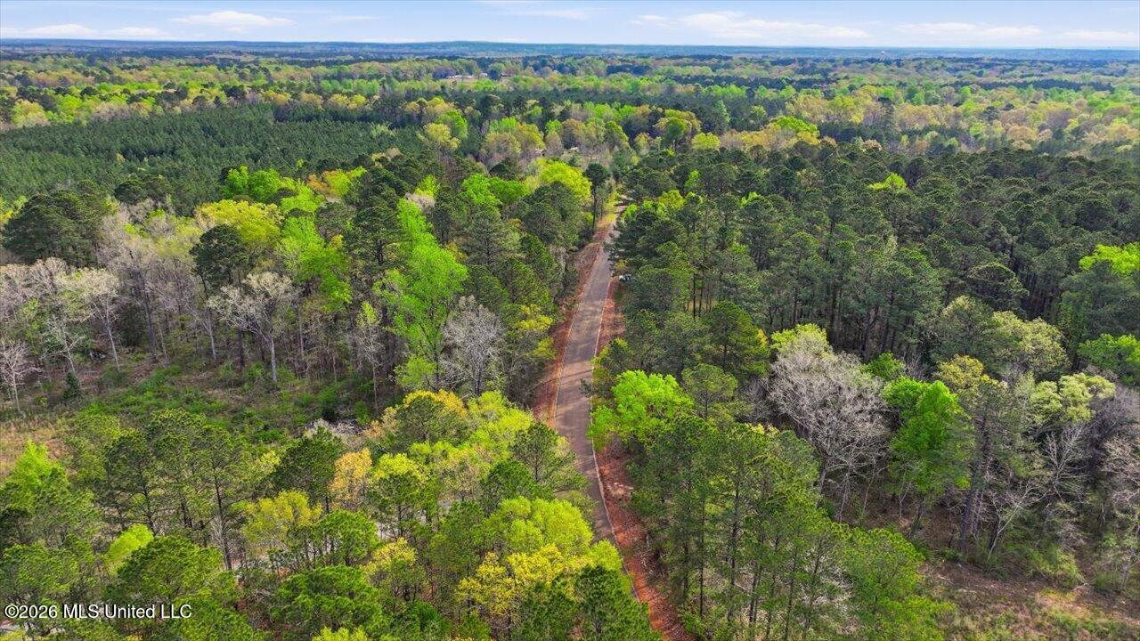 0 Harrisville Braxton Road Braxton, MS 39044 - Photo 25 of 33 22-Harrisville Braxton Rd _ Home Tours M