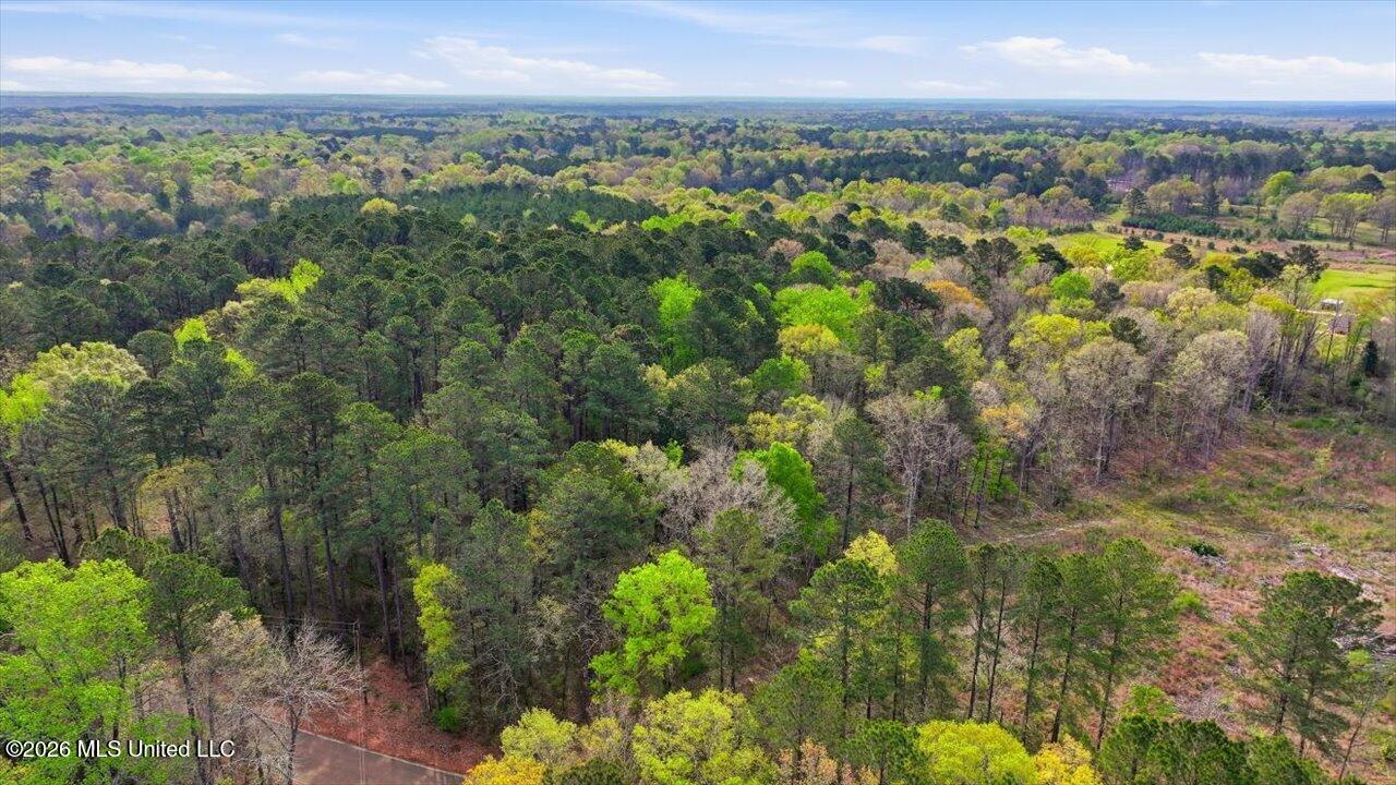0 Harrisville Braxton Road Braxton, MS 39044 - Photo 26 of 33 23-Harrisville Braxton Rd _ Home Tours M