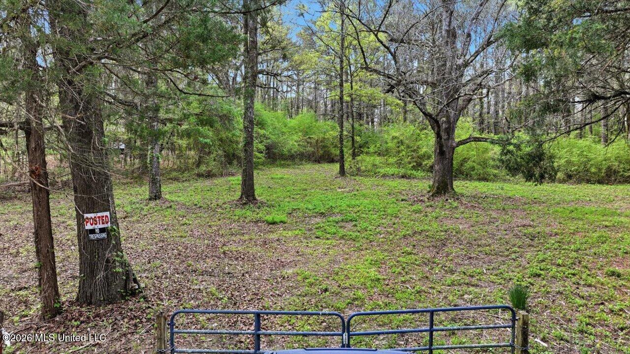 0 Harrisville Braxton Road Braxton, MS 39044 - Photo 3 of 33 31-Harrisville Braxton Rd _ Home Tours M