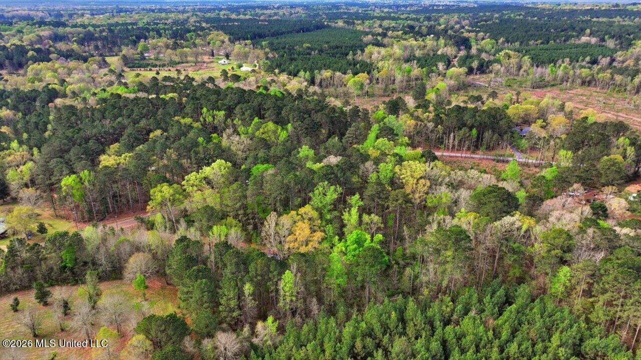 0 Harrisville Braxton Road Braxton, MS 39044 - Photo 5 of 33 02-Harrisville Braxton Rd _ Home Tours M