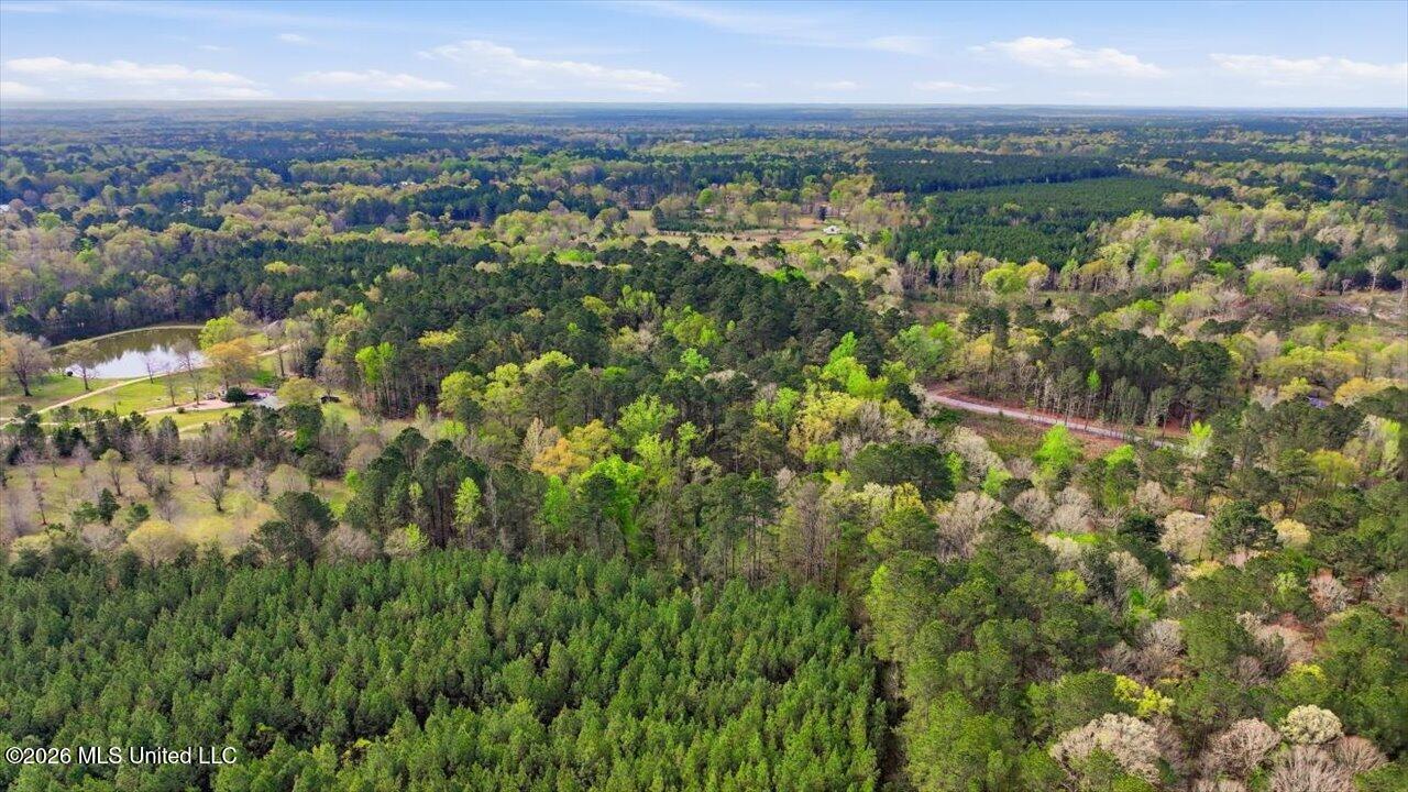 0 Harrisville Braxton Road Braxton, MS 39044 - Photo 7 of 33 04-Harrisville Braxton Rd _ Home Tours M