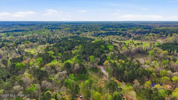 $133,500 | 0 Harrisville Braxton Road, Braxton, MS 39044