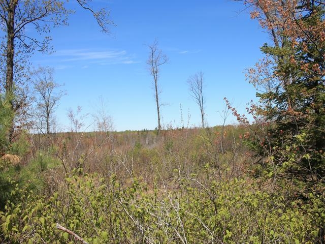 19081 Erickson Drive Dunbar, WI 54119 - Photo 46 of 87