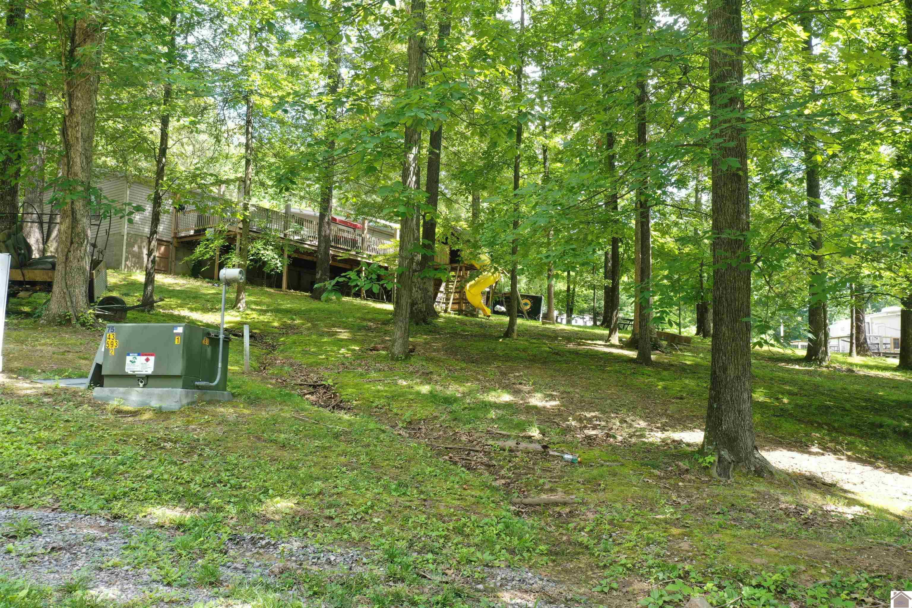 210 Maxwell Street Grand Rivers, KY 42045 - Photo 13 of 34 Photo 13